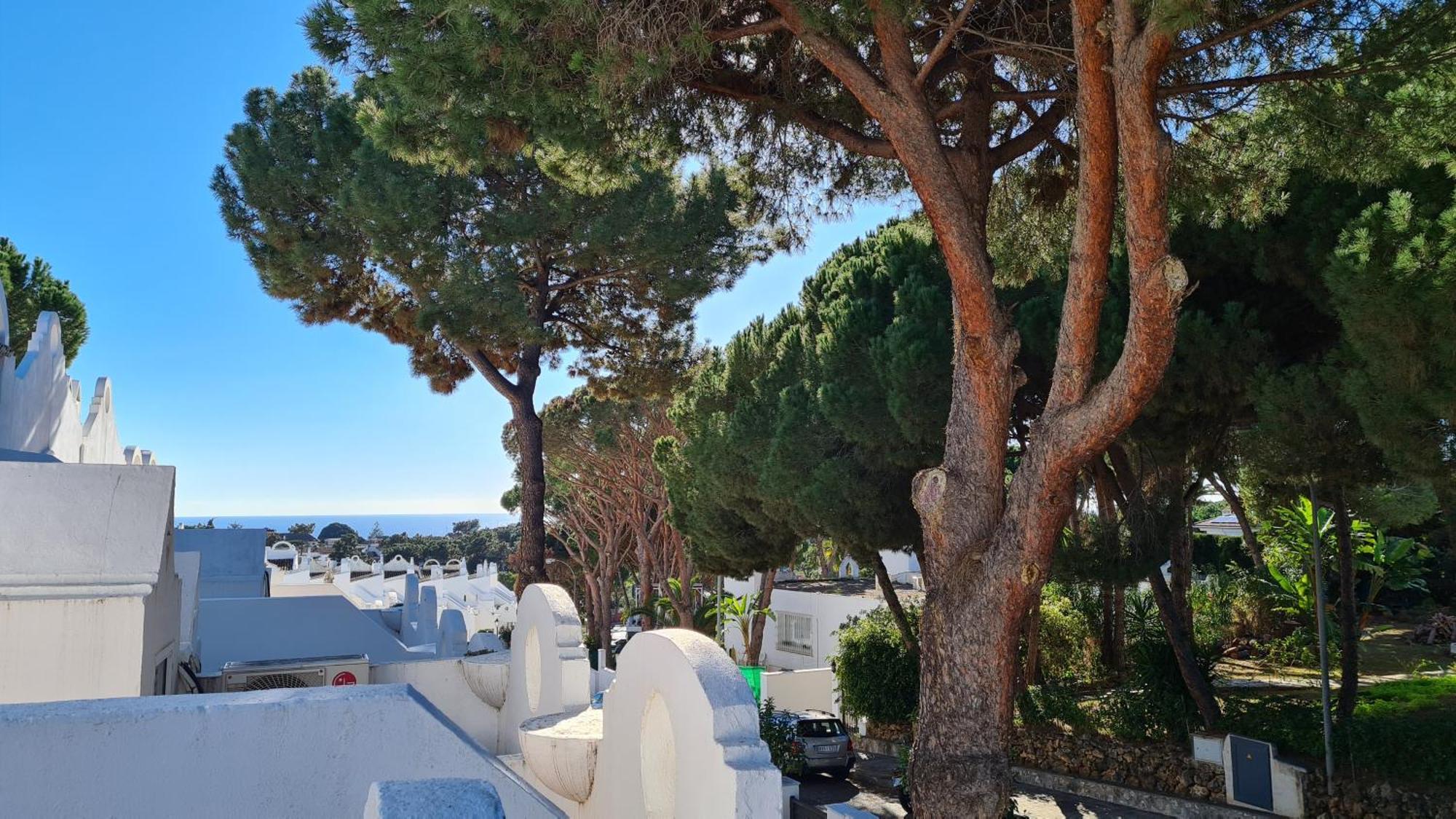 Casa Hibiscus Marbellaヴィラ エクステリア 写真